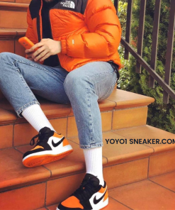 nike air jordan 1 low cam 9